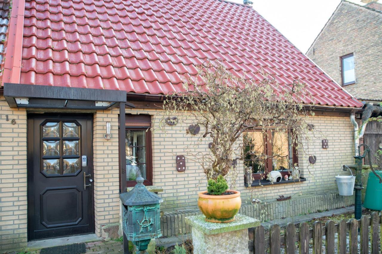 Ferienhaus Am Reiterhof Templin Zewnętrze zdjęcie